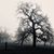 Dyanne Marie Johnston's profile image