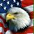 Robert Dillon's profile image