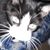 Laura Fannan Stewart's profile image