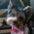 Linda D. West-Yeulenski's profile image
