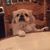 Duane Albert Sr.'s profile image