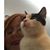 Jackie Enderle's profile image