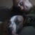 Kylee Correia's profile image