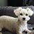 Joann Krafve's profile image