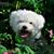 Becky Denney-Kobler's profile image