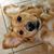 Diane Sarnecky Bauer's profile image