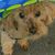 Gary L. Bogle's profile image