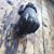 Stephanie Kempf's profile image