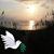 Mary Wrobel's profile image