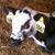 RB Jones's profile image