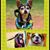 Shelly Weston's profile image