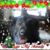 Janet M. Stinson's profile image