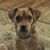 Marty Bowers's profile image