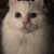 Jennifer Gitschier's profile image