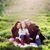 Amber McSweyn's profile image