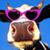 Linda Oversmith's profile image