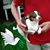 Patricia Strait Westervelt's profile image