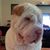 Vicki Collins's profile image