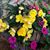 Mary Beth Reid Hawkins's profile image