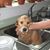 Linda Bower Hardt's profile image