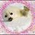 Lynn Kilinski's profile image