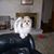 Roger Miller's profile image