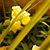 Tori Valencia's profile image