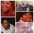 Lucius June Fowler's profile image