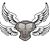 Ziggy Salvation's profile image