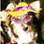 Julia Salvino Krol's profile image