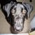 Jayson Harres's profile image