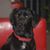 Ivonne Ortiz's profile image