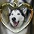 Donna Maria's profile image