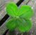 Patrice Thomasson's profile image
