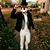 Logan Rigsby's profile image
