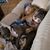 Lynn Fouse's profile image