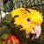 Ceinan Kimbrough's profile image