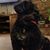 Jodie Gohmann's profile image