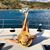Niki Dalsing's profile image
