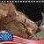 Sandy Chrispell's profile image