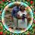 Jennifer Lynn Rush - Hann's profile image
