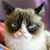 Rita Dexter's profile image