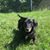 Cyndi Alviani Mancini's profile image