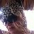 Minna Van Ness's profile image