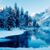 Bernadette Geon Herkner's profile image