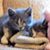 Penny Lee's profile image