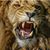 Shuntay Colbert's profile image