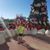 Rebecca Sanson-Ruckle's profile image