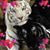Naomi Taylor's profile image