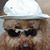 Vincent Vocatura's profile image